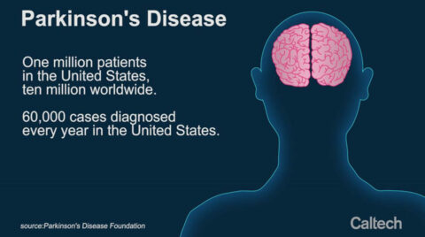 PARKINSON